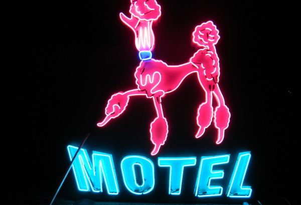 Pink Poodle Neon Sign